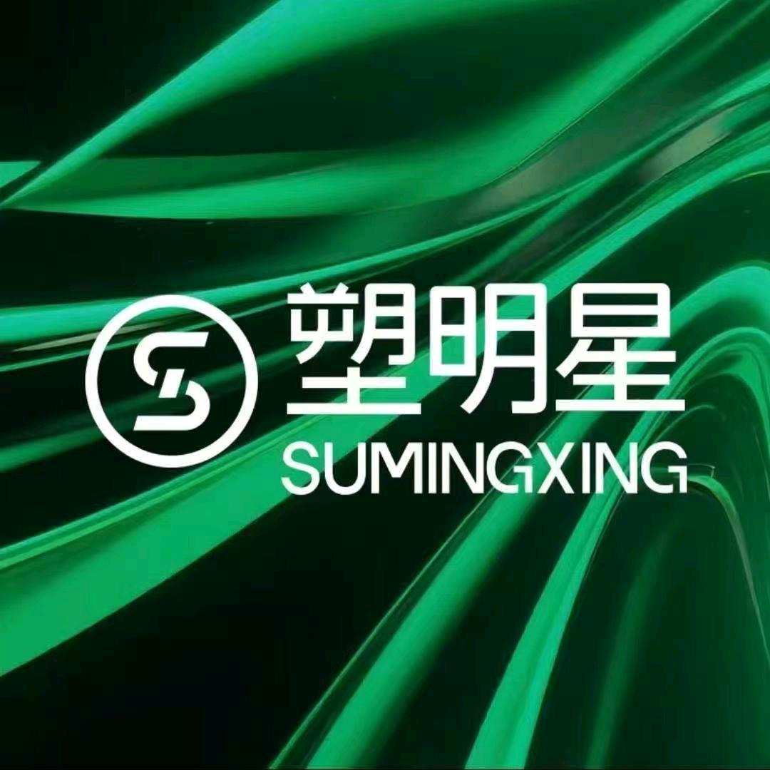 塑明星～双子