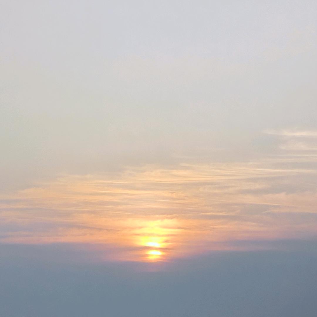 绿萝蜗蜗
