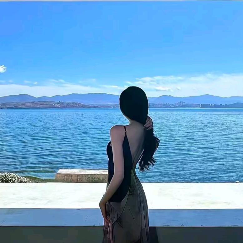 孤独的玫瑰(白嫖版)