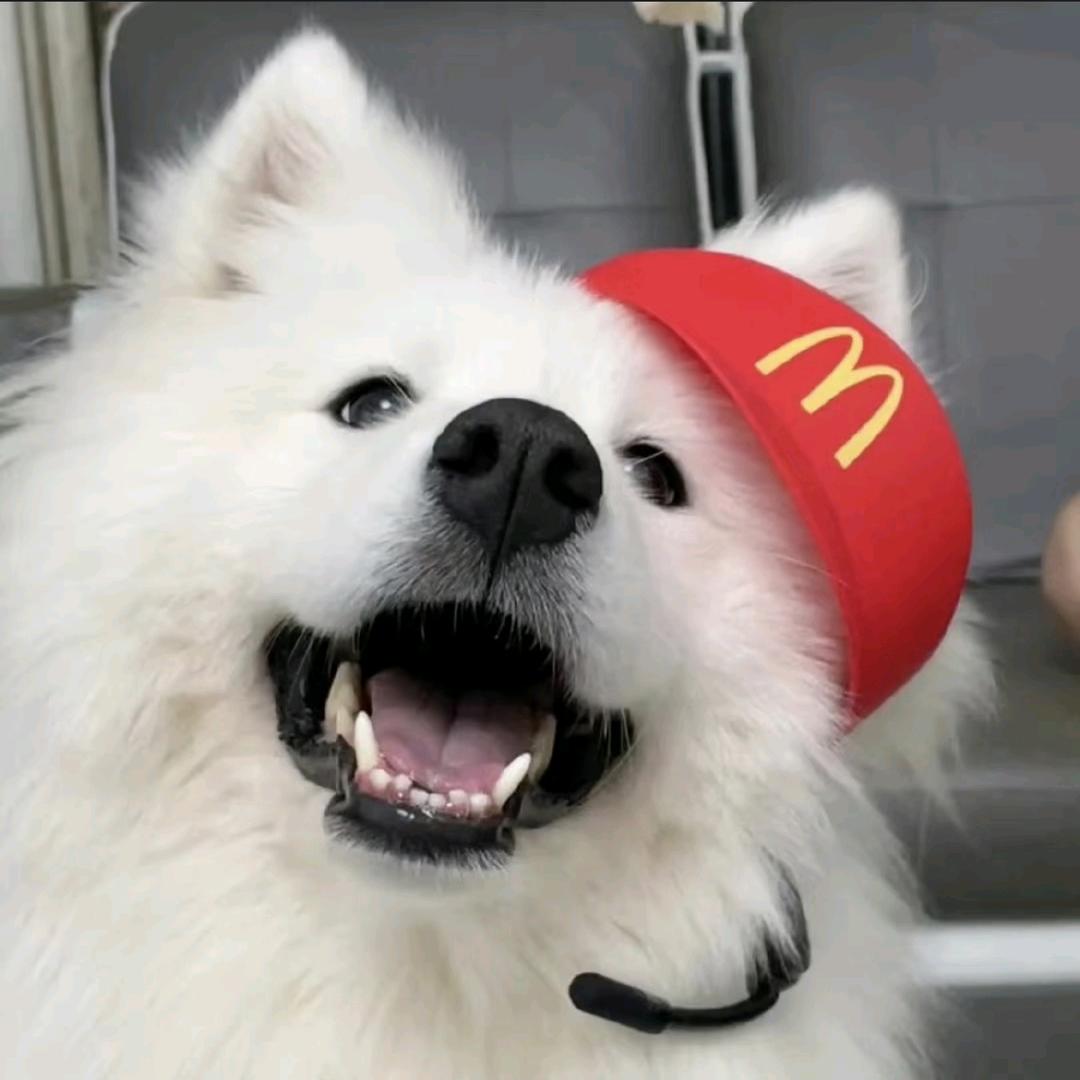小馒头