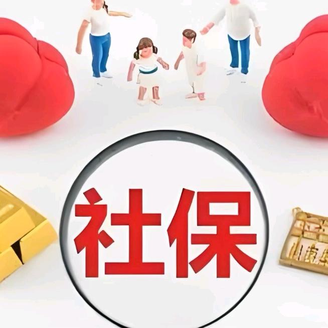 刘老师聊社保