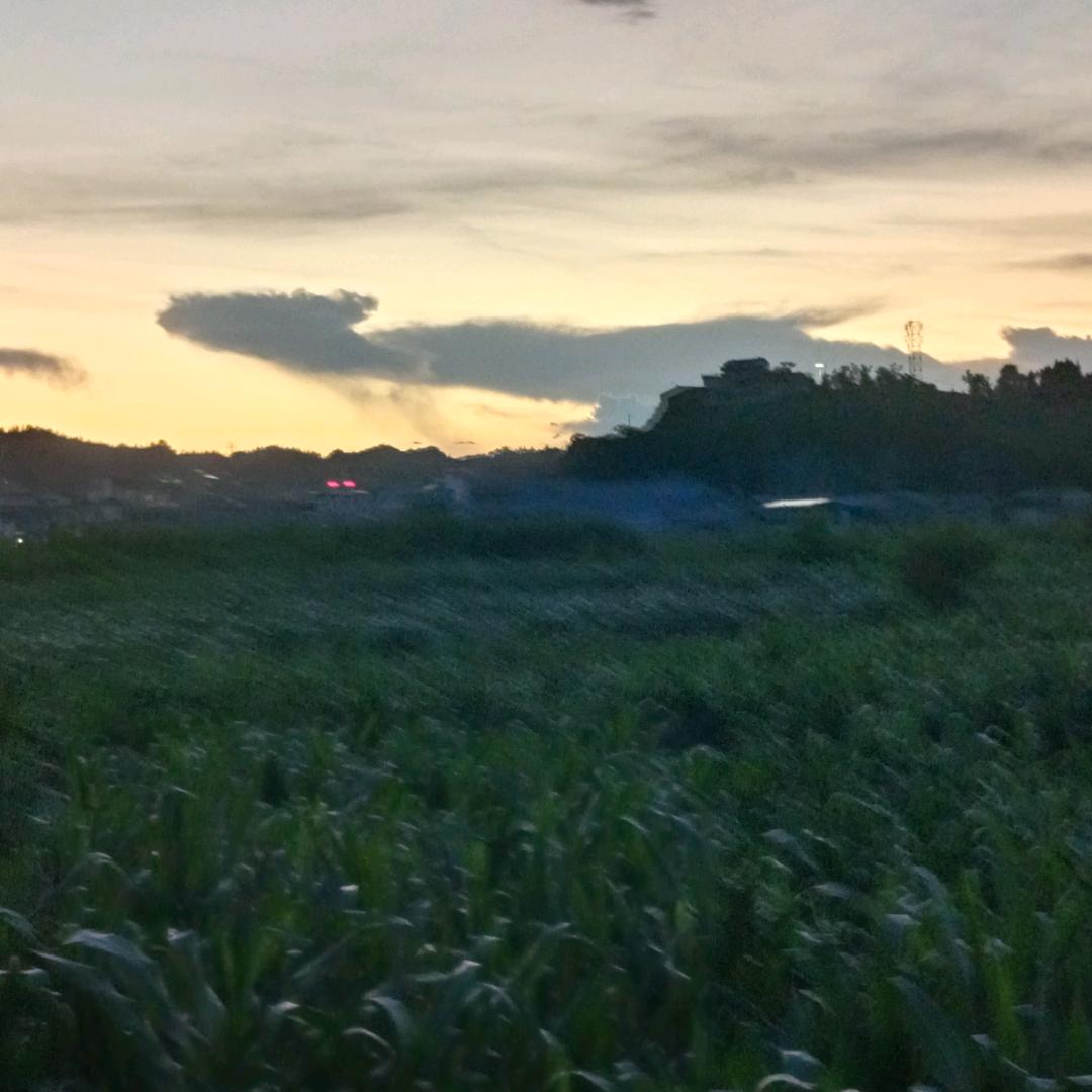 幸福的海洋