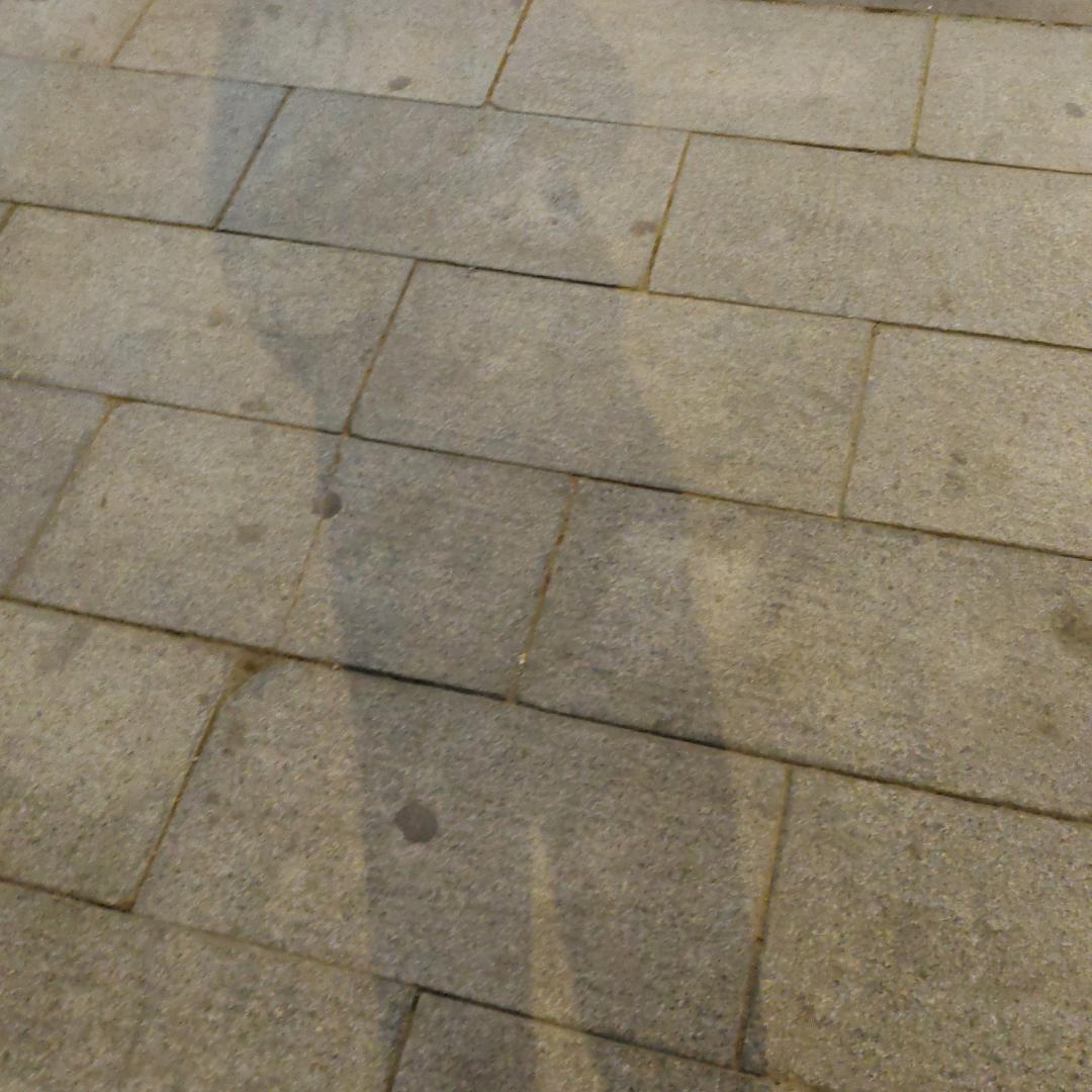 风中雪花