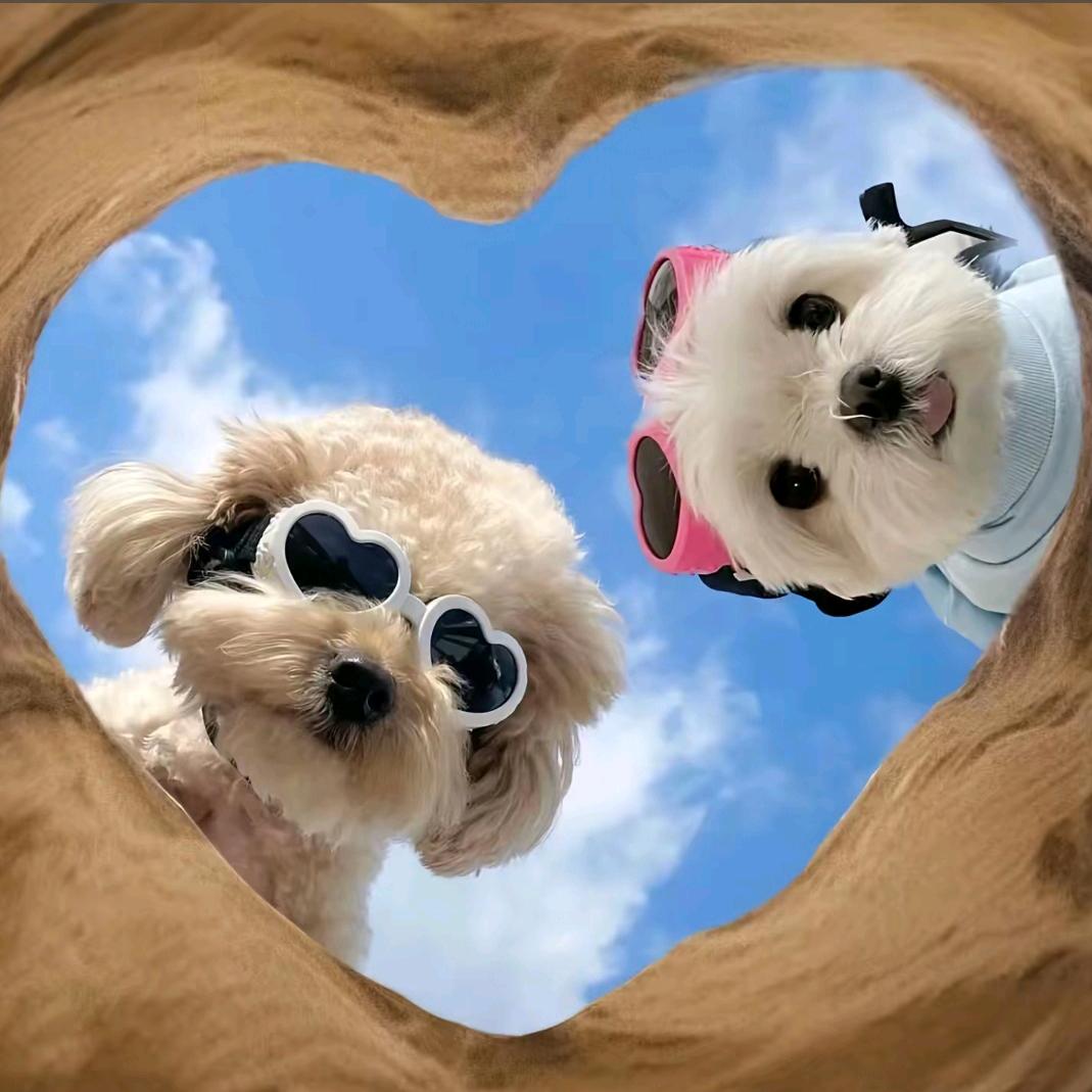 大悟县高巴辉百货商行