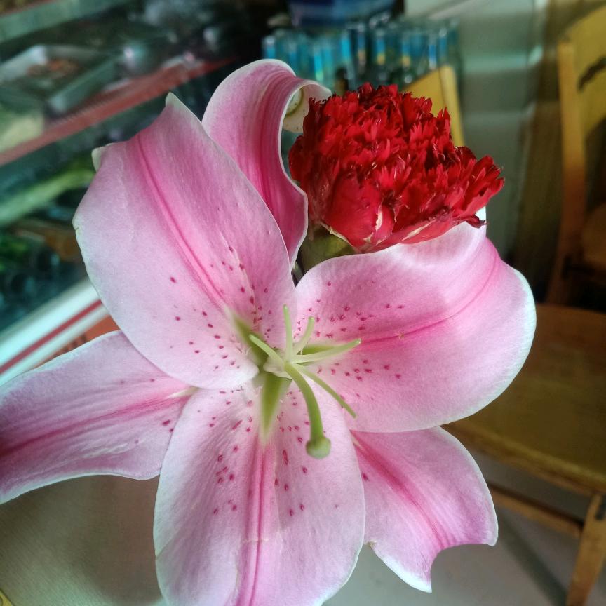 幸福快乐的天使