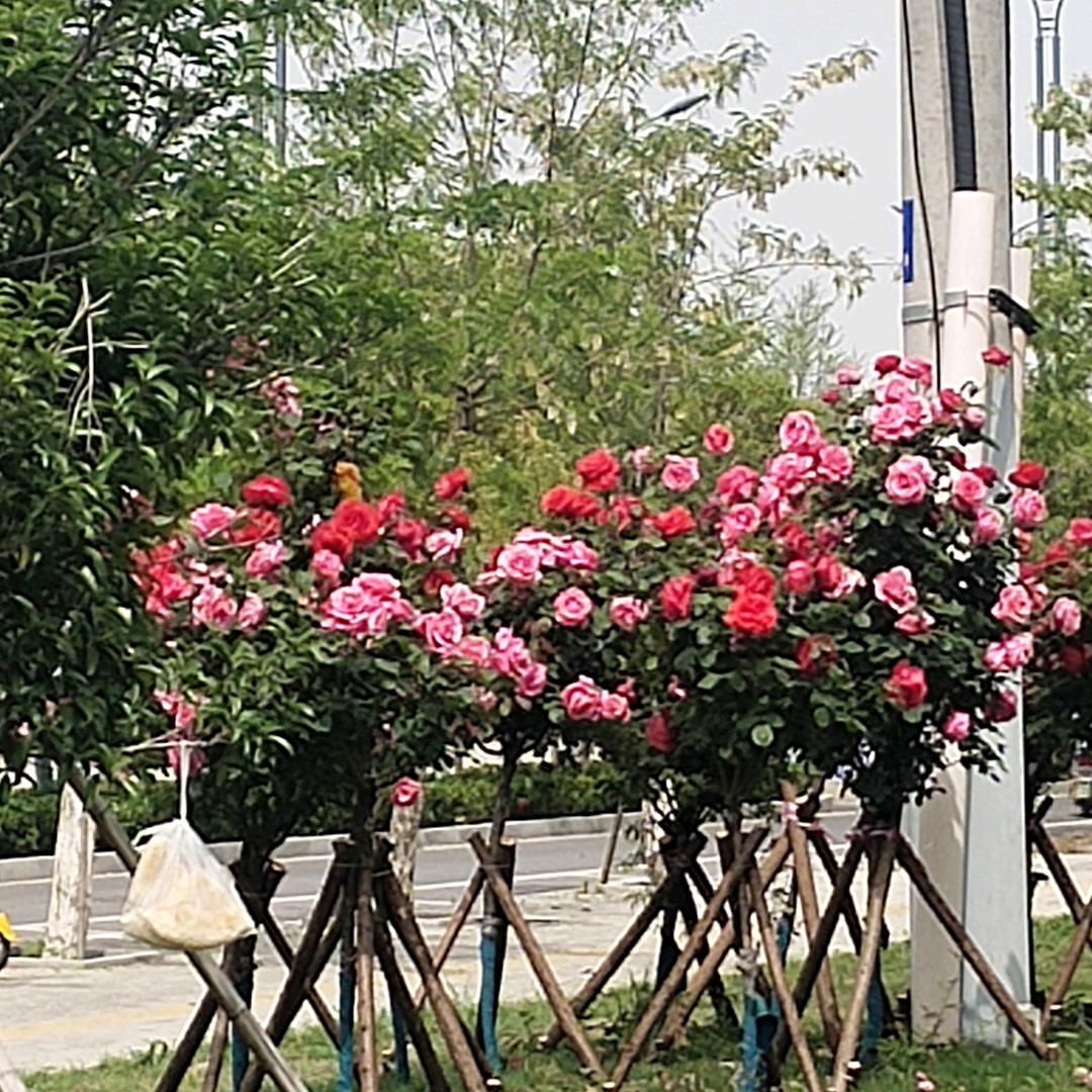 幸福一家人