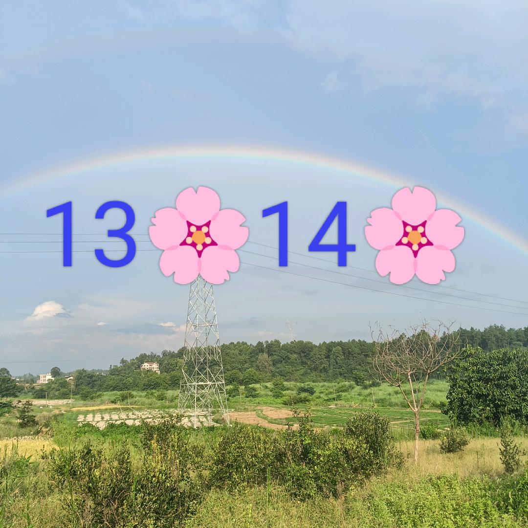 吹不走的凤儿🌺🌺