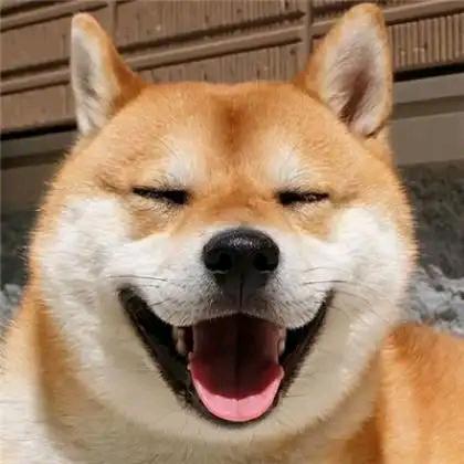 小晨宝