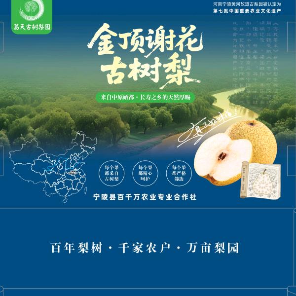 梨园里的驻村书记