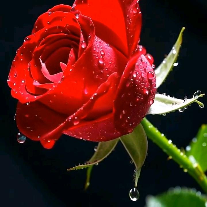 🌈青梅山歌⁶²¹⁸🎤