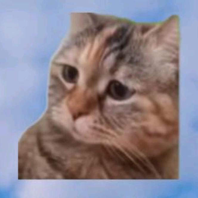 猫meme酥脆