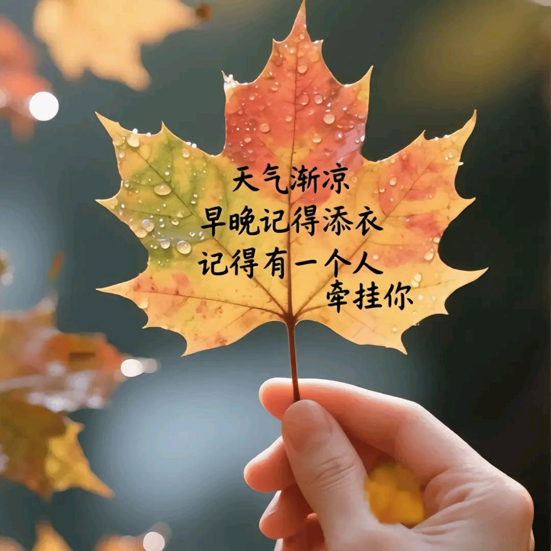 一帆风顺