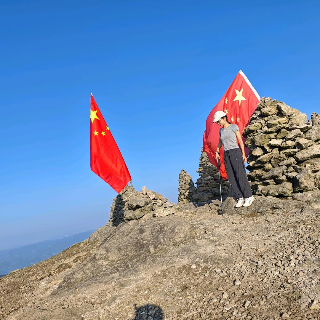 板栗脑袋
