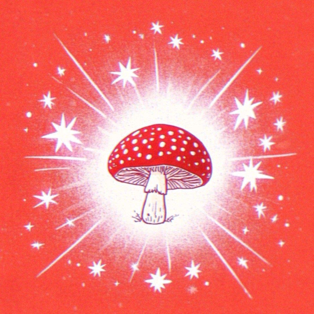蘑菇🍄