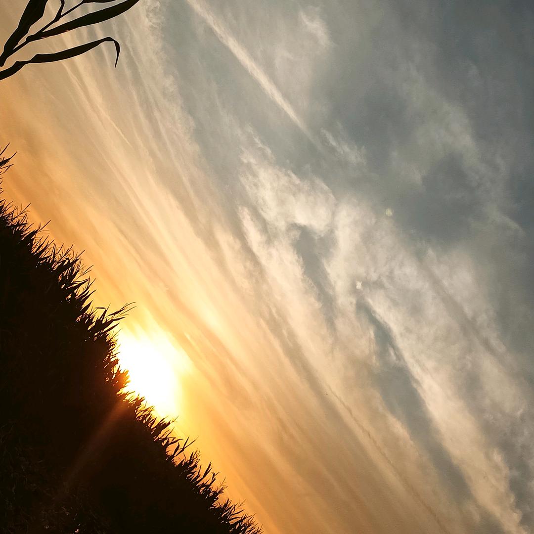 怡宝
