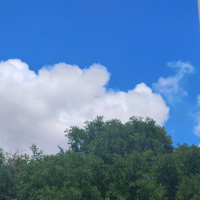 知微🌱