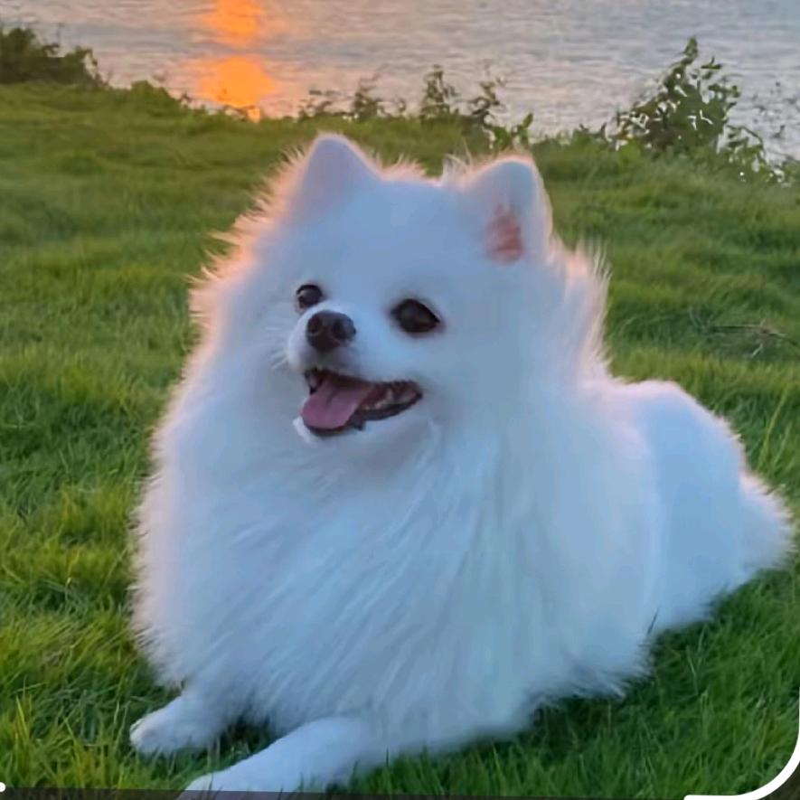 遇事不慌张先生。