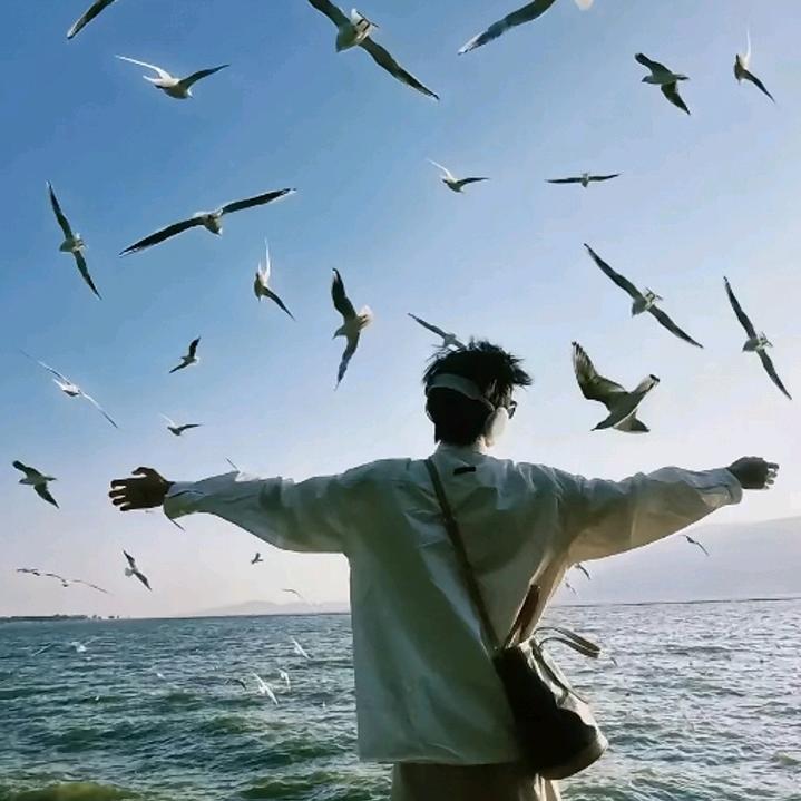 飞翔的企鹅：唐伊顾