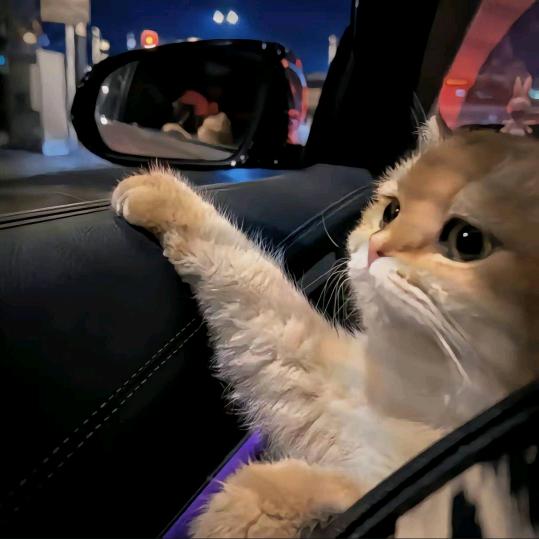 嘚嘚嘚（杭漂版）