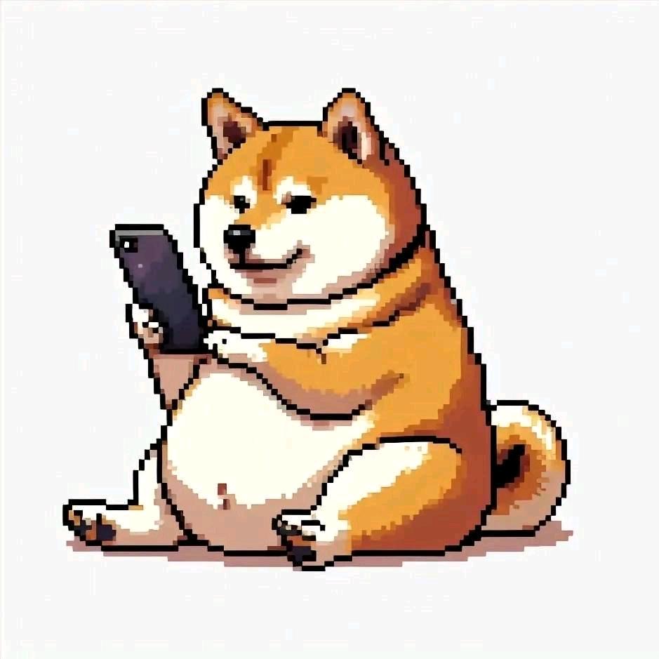 小虎贝尔