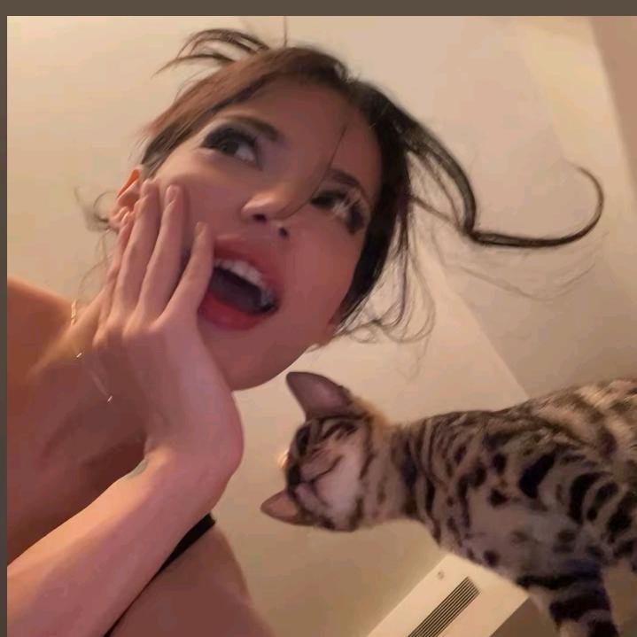 咪了个咪