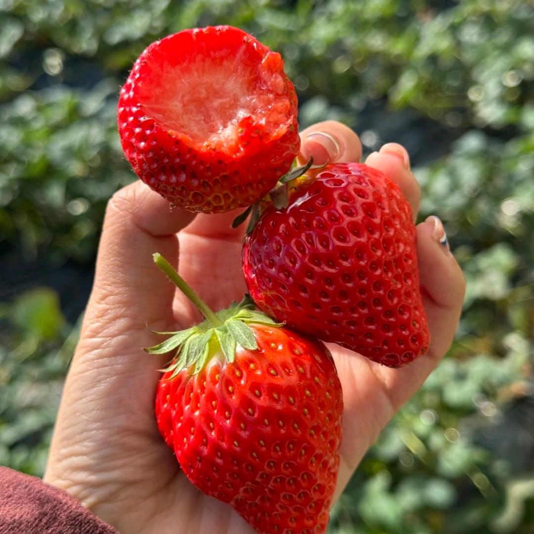 波波农品鲜仓店