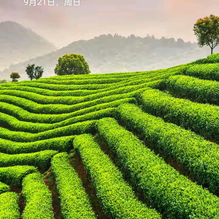SEFIYE团队总部布总