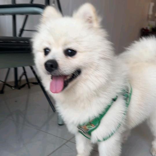 开心每一天waogxiaoya