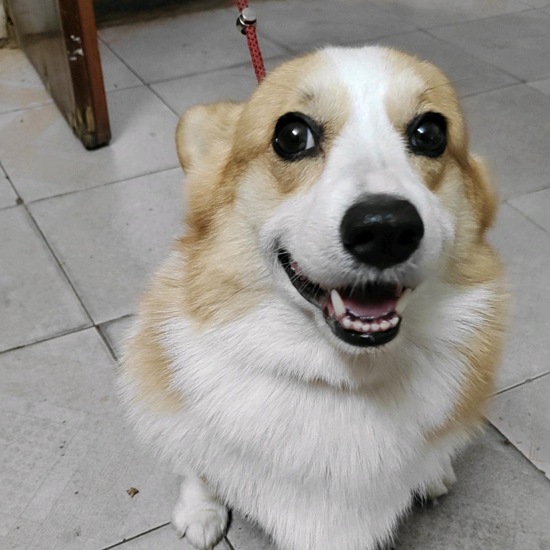 从前的你还好吗