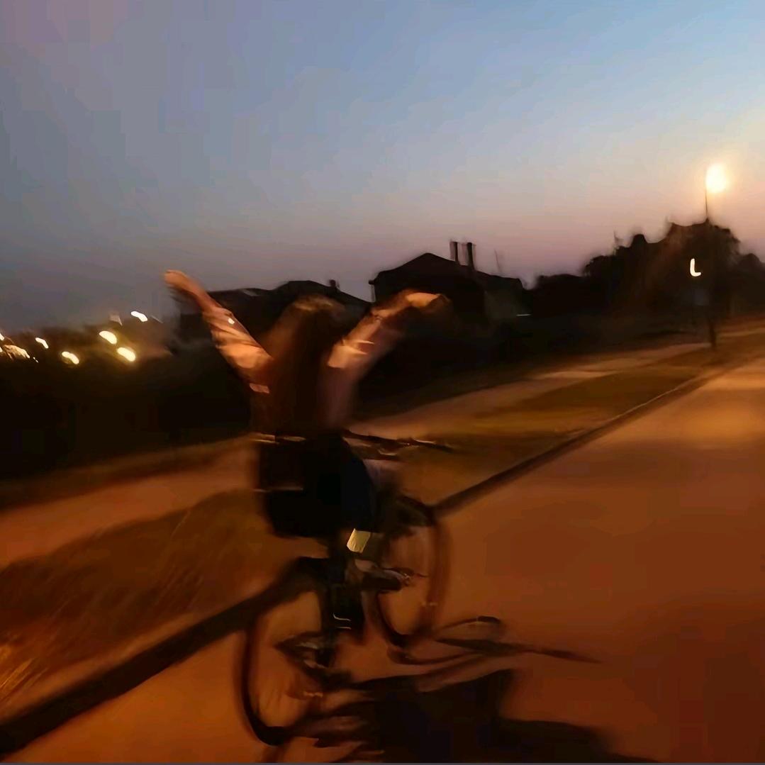 小馬的馬