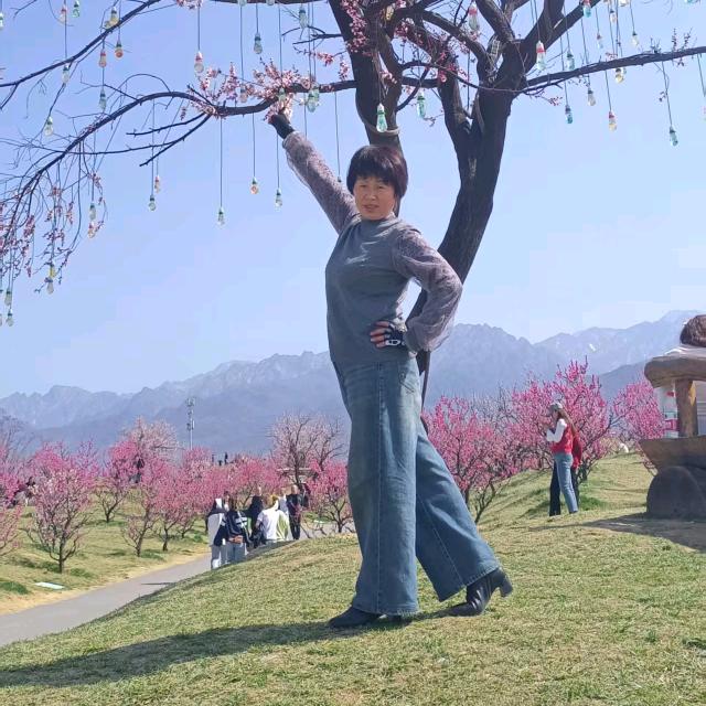 红枫云中月