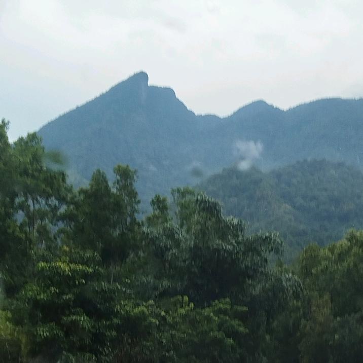 照