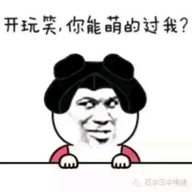 大能猫