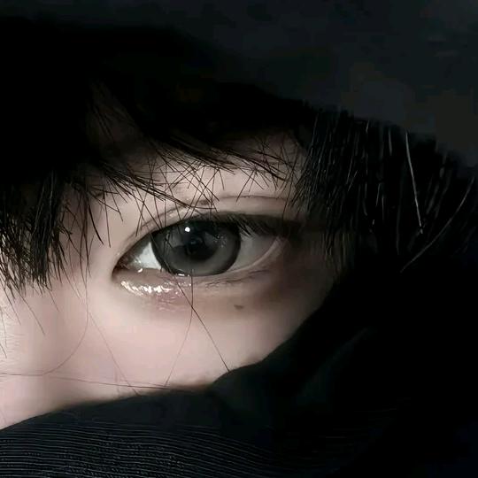 软软一只