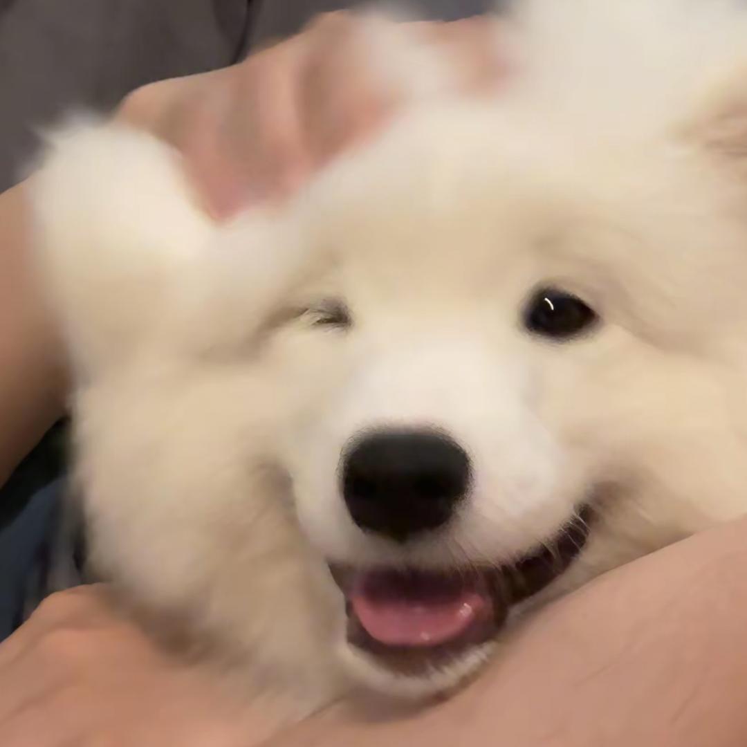 魏