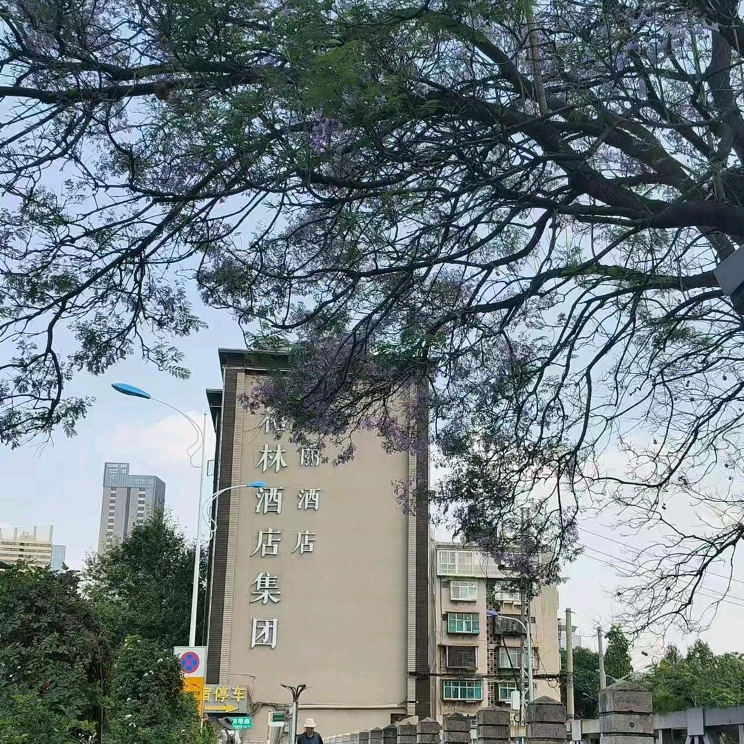 格丽酒店店长