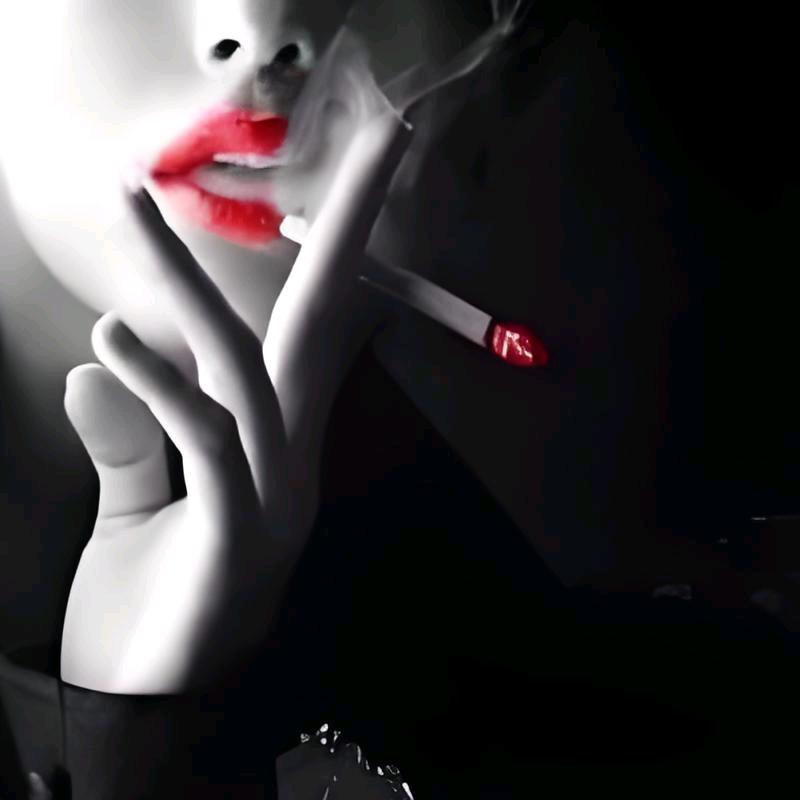 白天不懂夜的黑