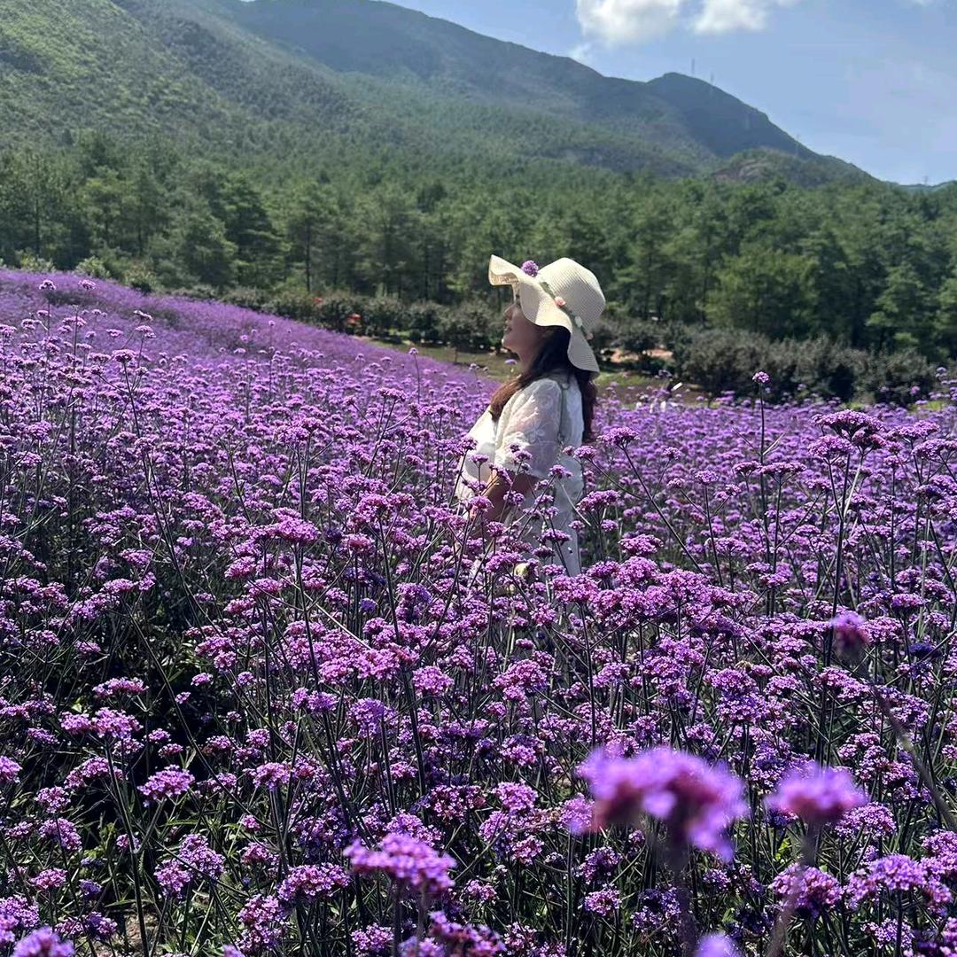 明天会更好🌻🌻
