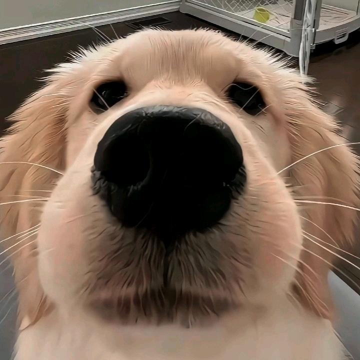 清风微凉