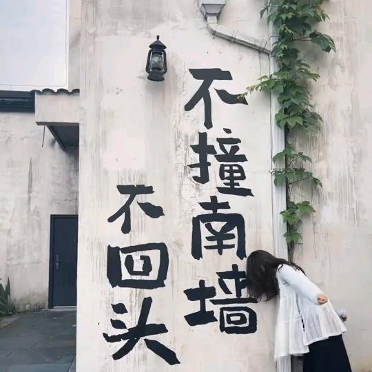 山茶花