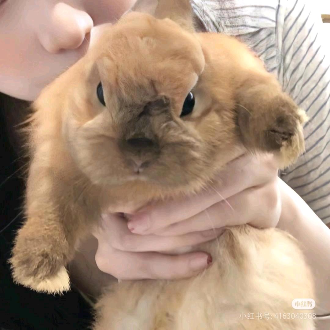 穿着三角篓子去砍柴