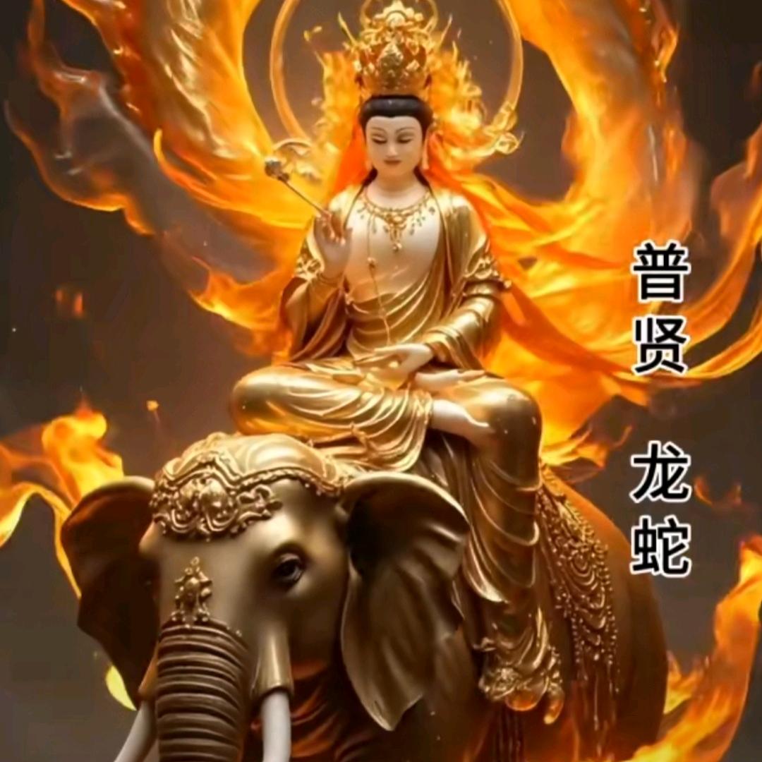抱抱不抱
