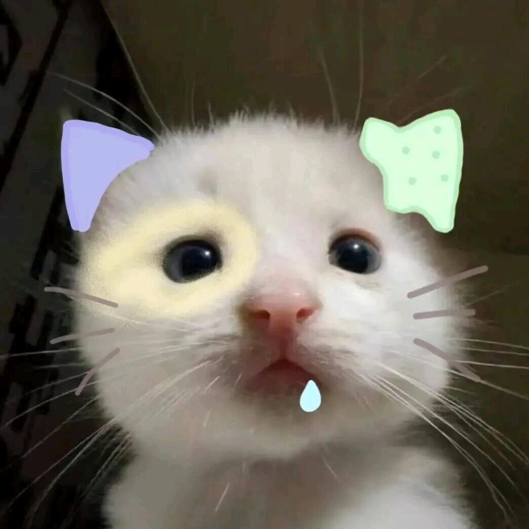 小魚