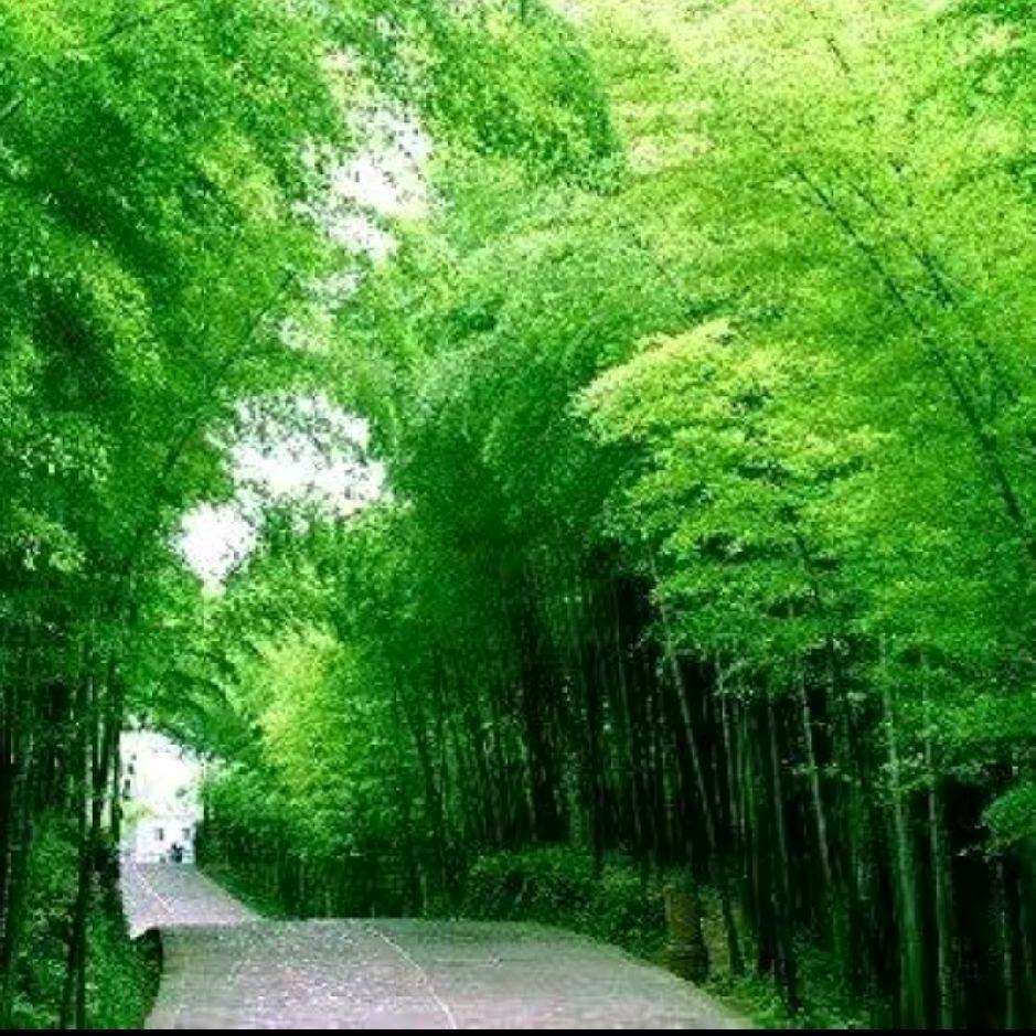 专属的偏见