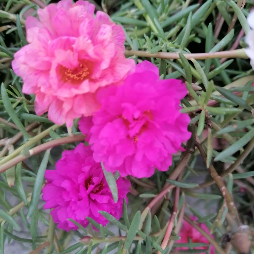 余生好好爱自己…