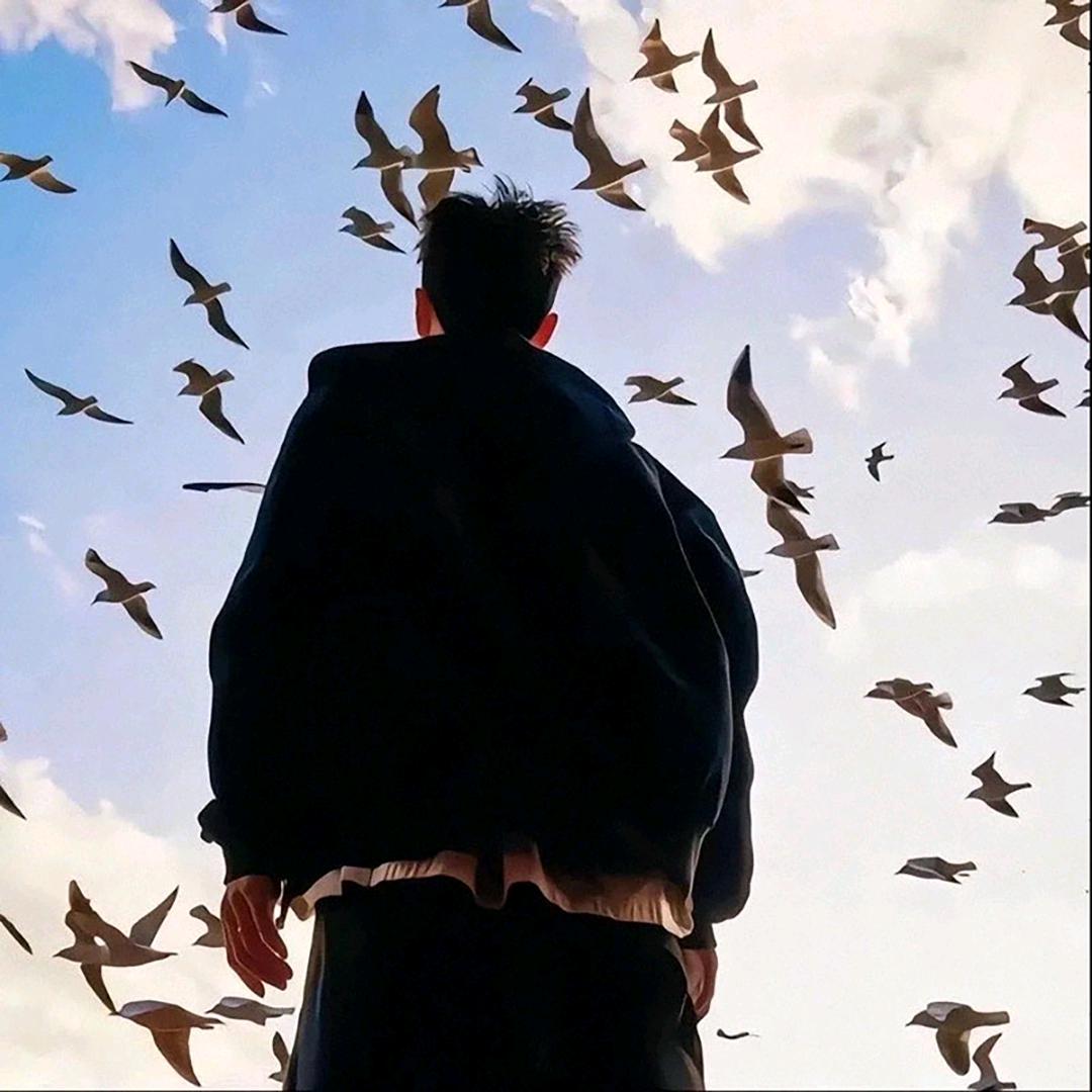 爱挖土豆的土拨鼠