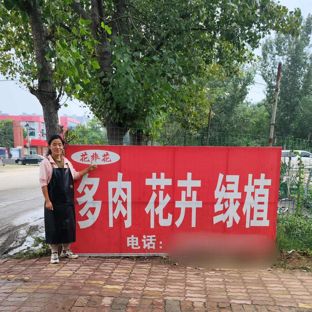 花非花多肉花卉绿植大棚