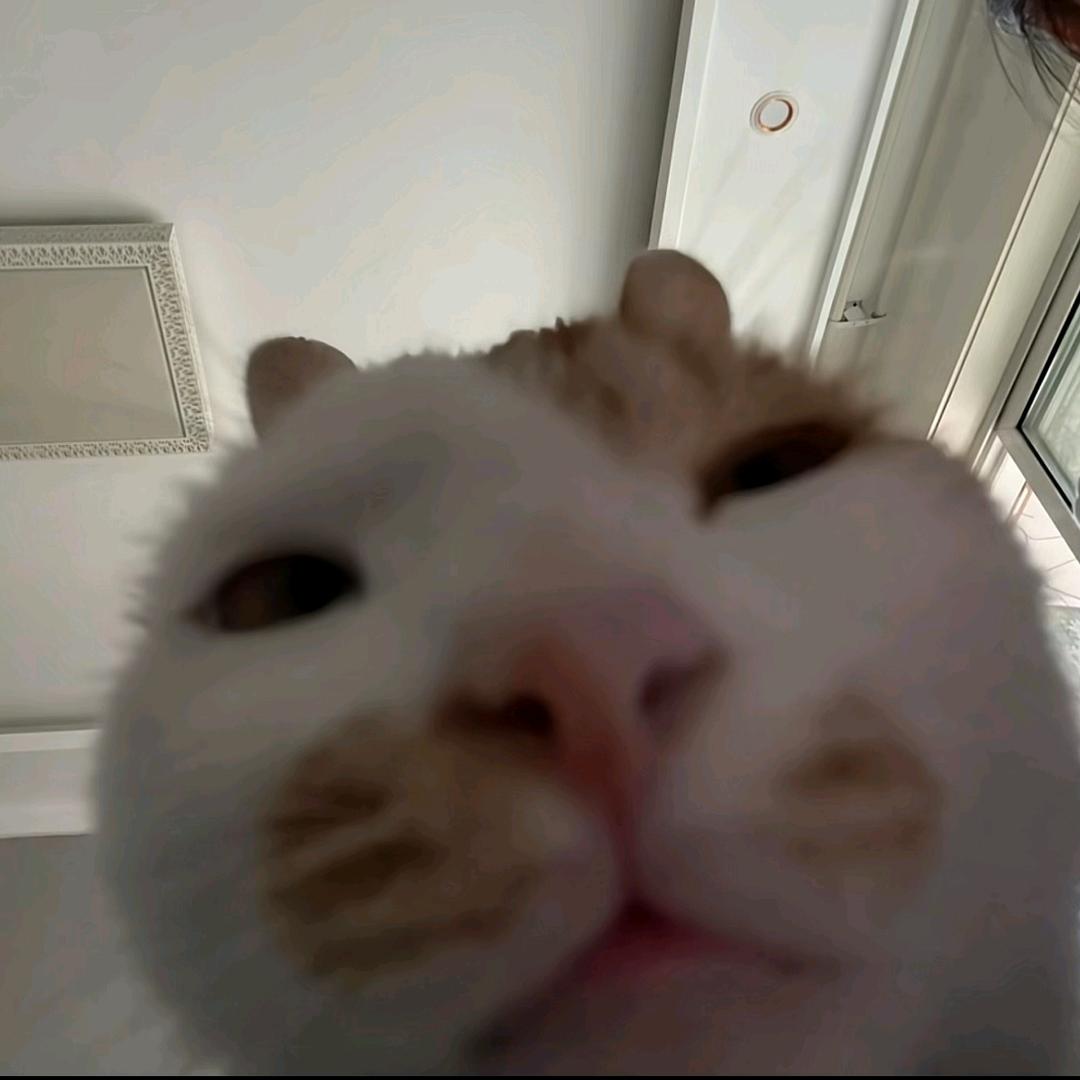 ～