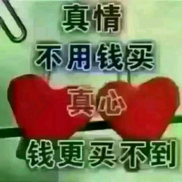 不要再伤害我