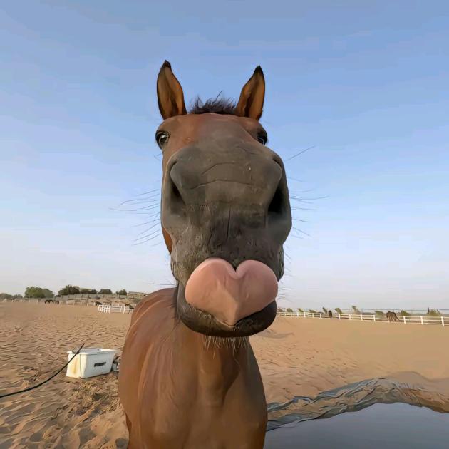 哪个儿才睡得醒